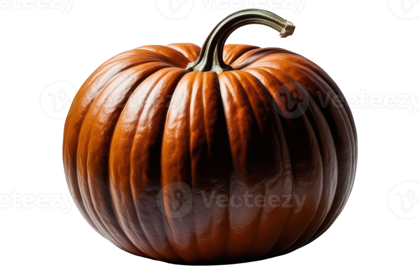 Smooth orange pumpkin isolated on a transparent background png