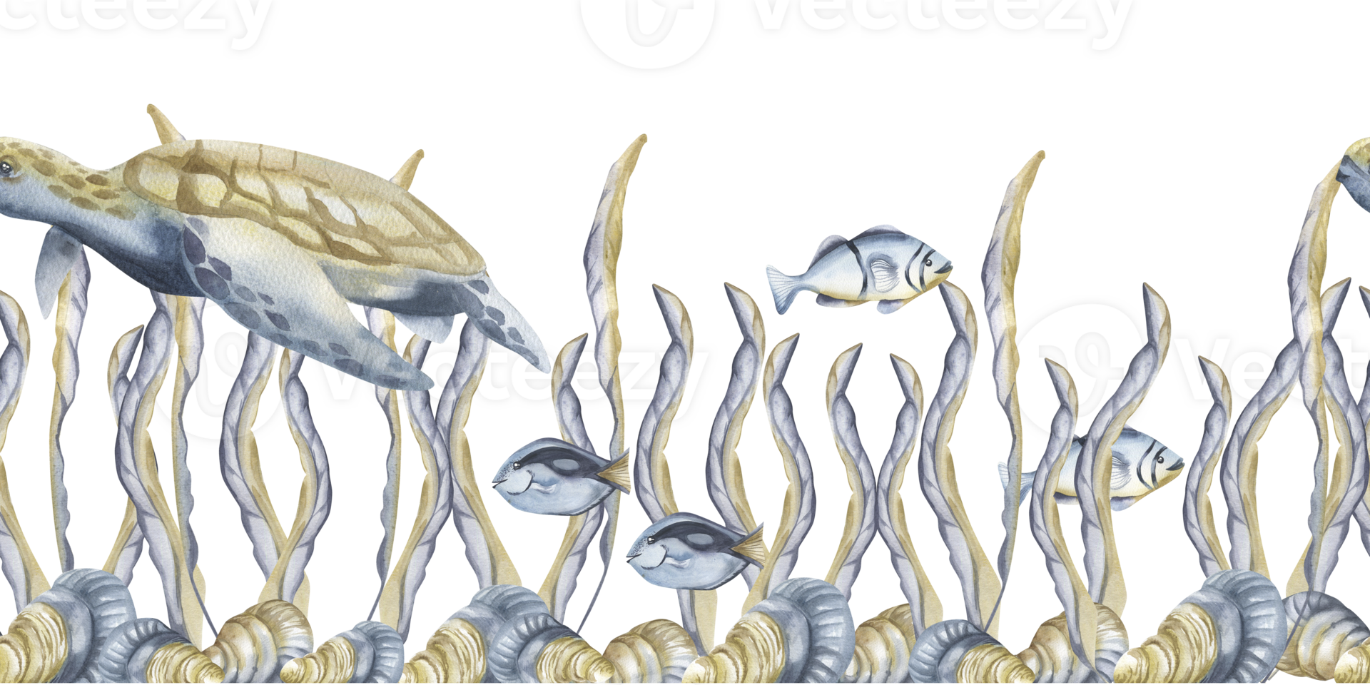 Underwater seamless border with big turtle, aquarium fish and seaweeds with shells on seabed watercolor illustration. Hand drawn marine life banner, sea and ocean life clipart for wallpaper design png