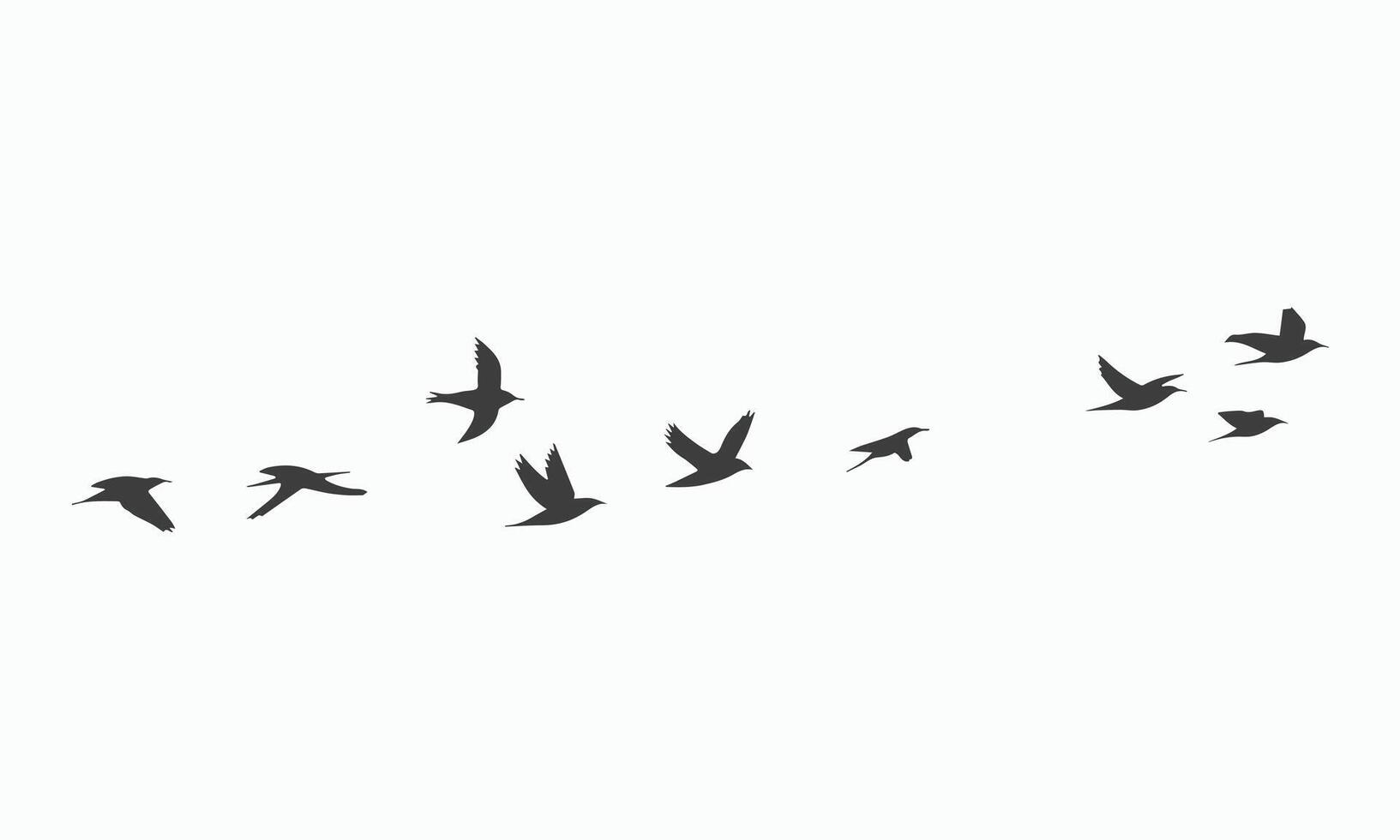 Silhouette of a Flock of Birds in Flight vector