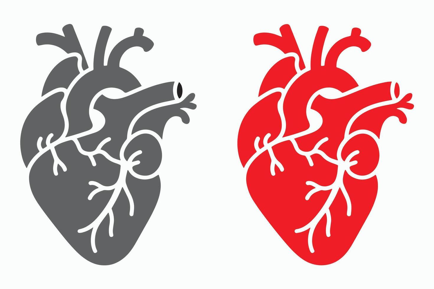 Anatomical Heart Illustration Red and Gray Icons vector