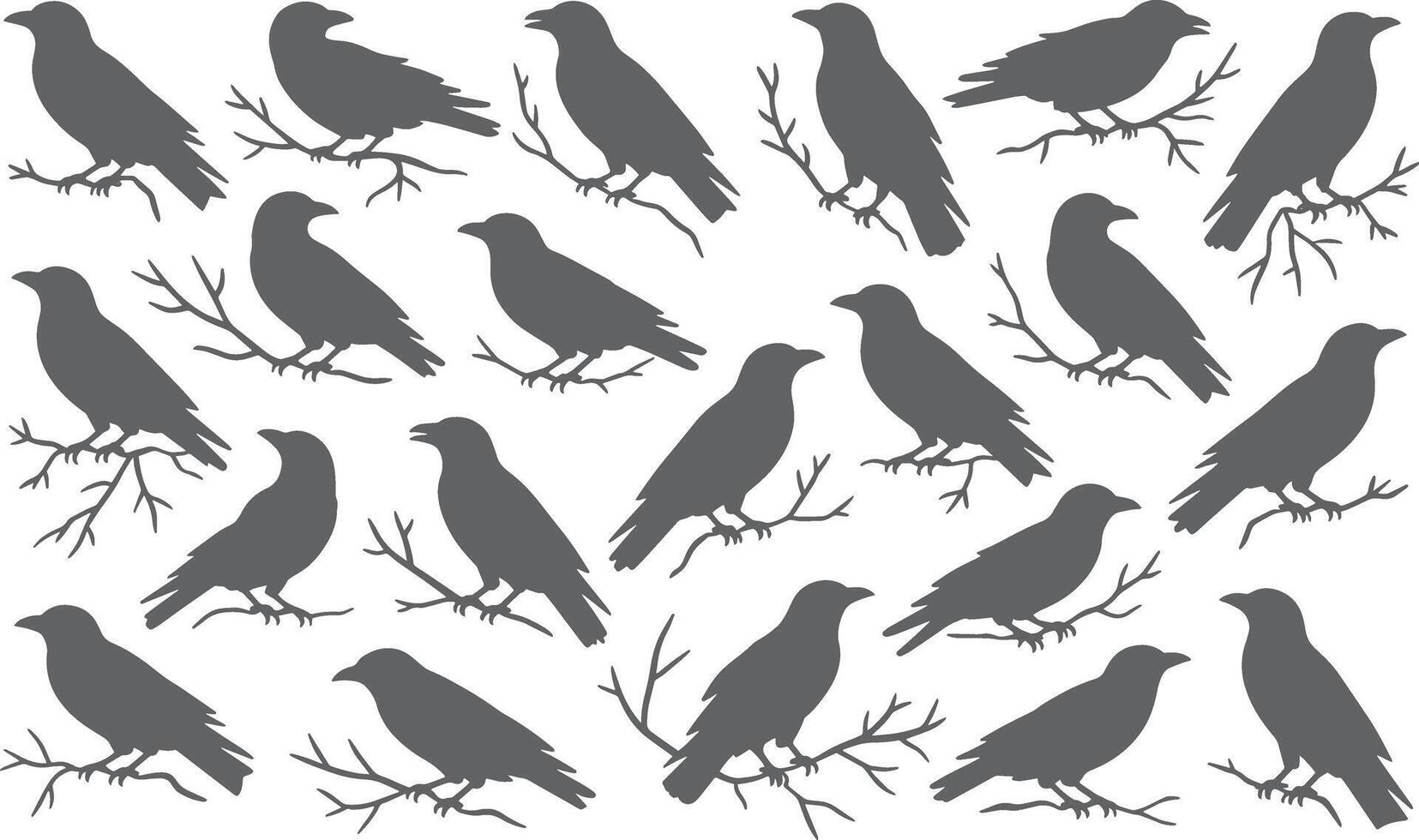 Black crow silhouette pattern background for halloween or gothic design graphic element image on transparent background vector