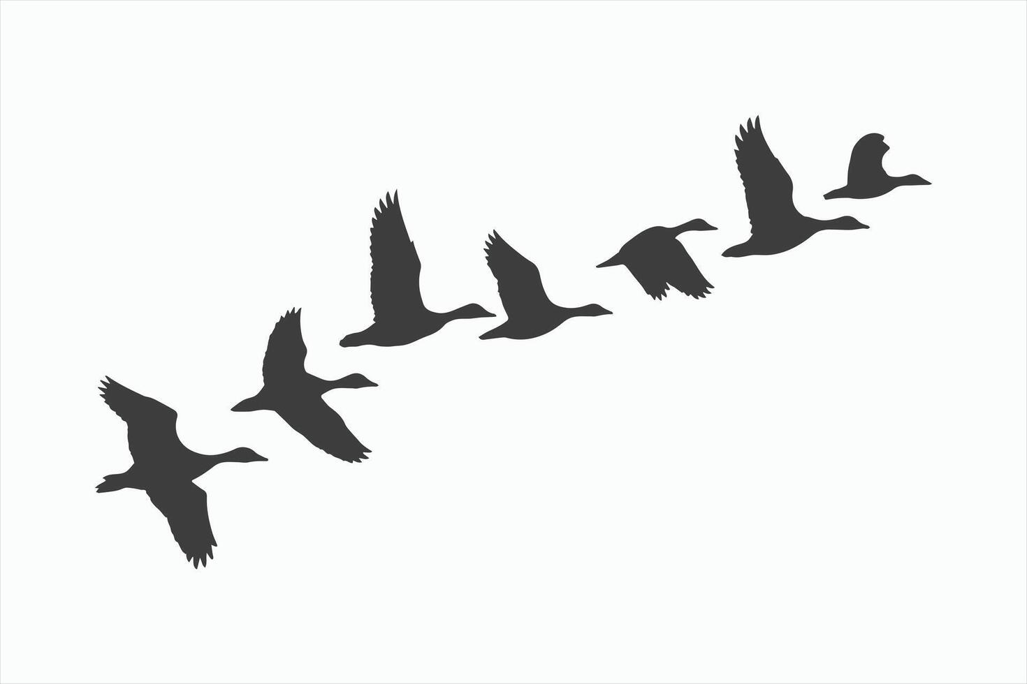 Silhouette of Geese Flying in Formation vector