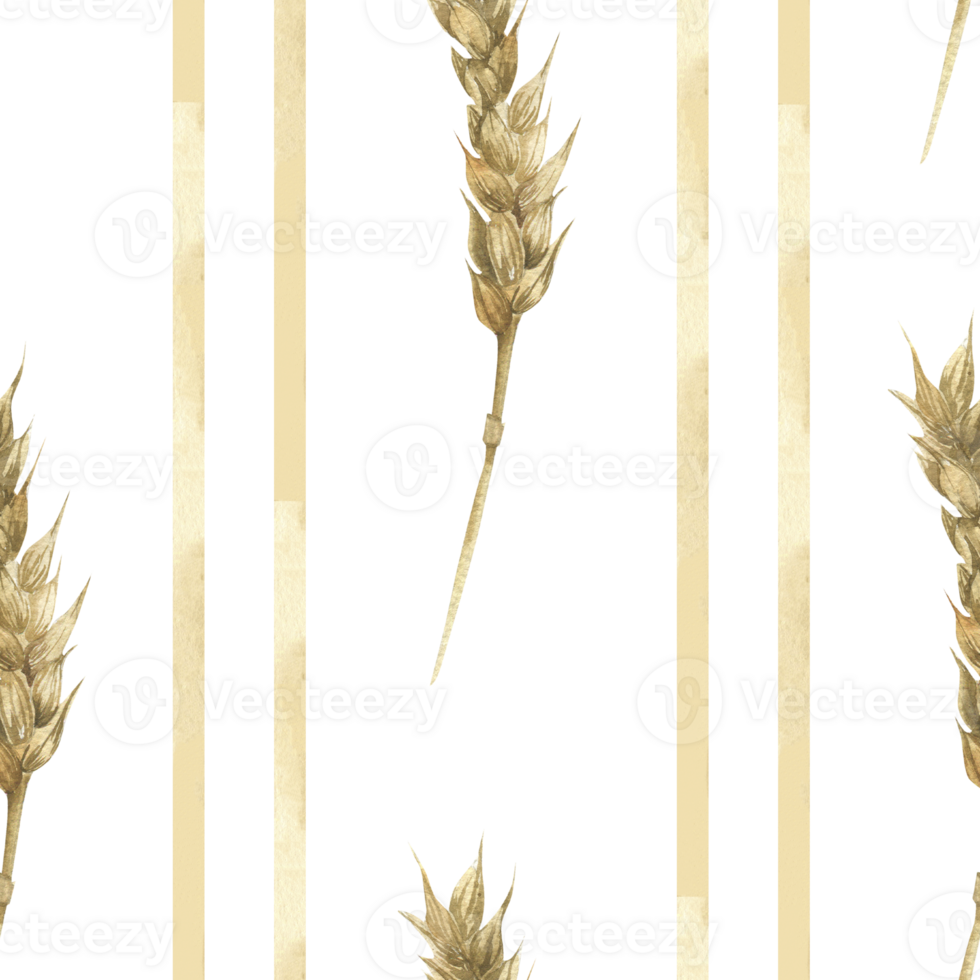 Golden wheat watercolor seamless pattern with cereals stems and beige geometric lines illustration.Abstract floral striped background with field crops for kitchen textile,fabric, rustic design png