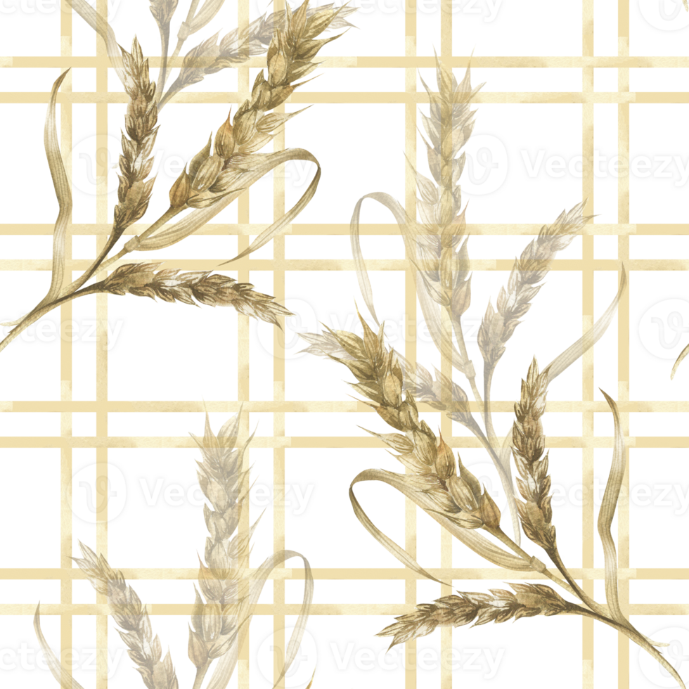 Wheat stems bouquet watercolor seamless pattern on beige plaid background.Hand drawn field corn floral repeated clipart with cereals and rye for eco product,bread packing,rustic kitchen textile design png