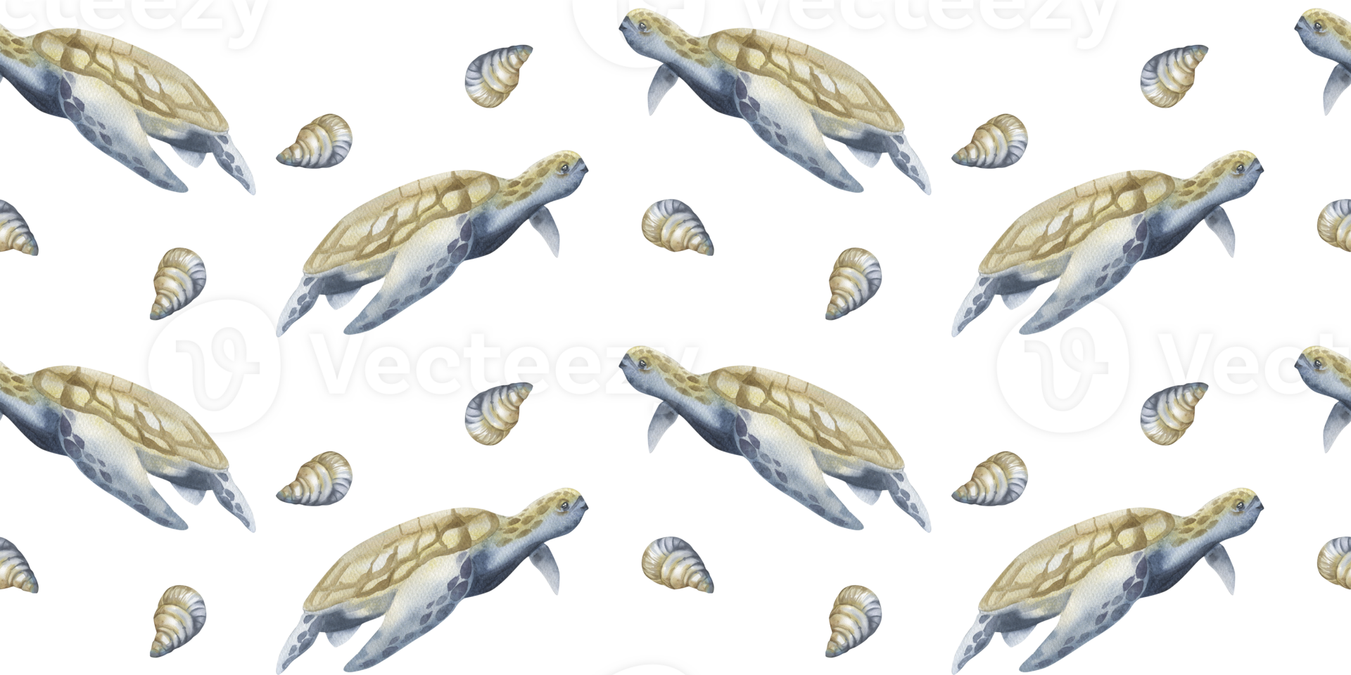 Marine watercolor seamless border with big turtle and shells in monochrome illustrations. Hand drawn nautical background,deep sea animals clipart in blue and beige colors for wallpaper,fabric design png