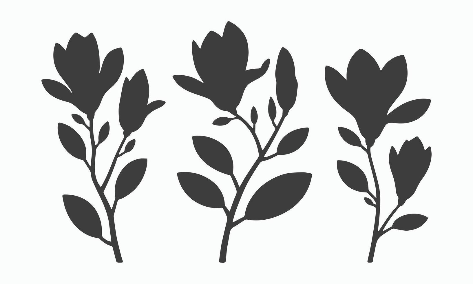 Three Magnolia Branches Silhouettes Botanical Illustration vector