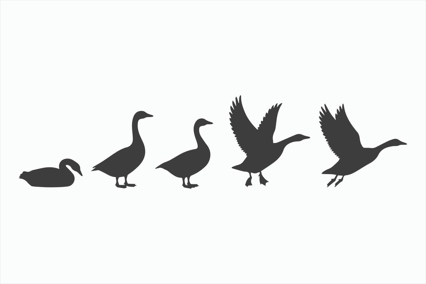 Goose Life Cycle Stages Silhouettes Illustration vector