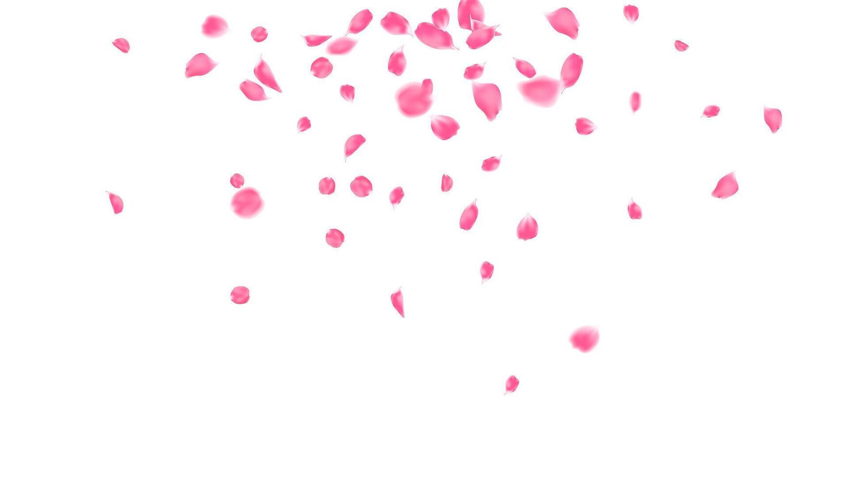 Rose petals pink color falling motion, Love day festival, romantic background, congratulation vector