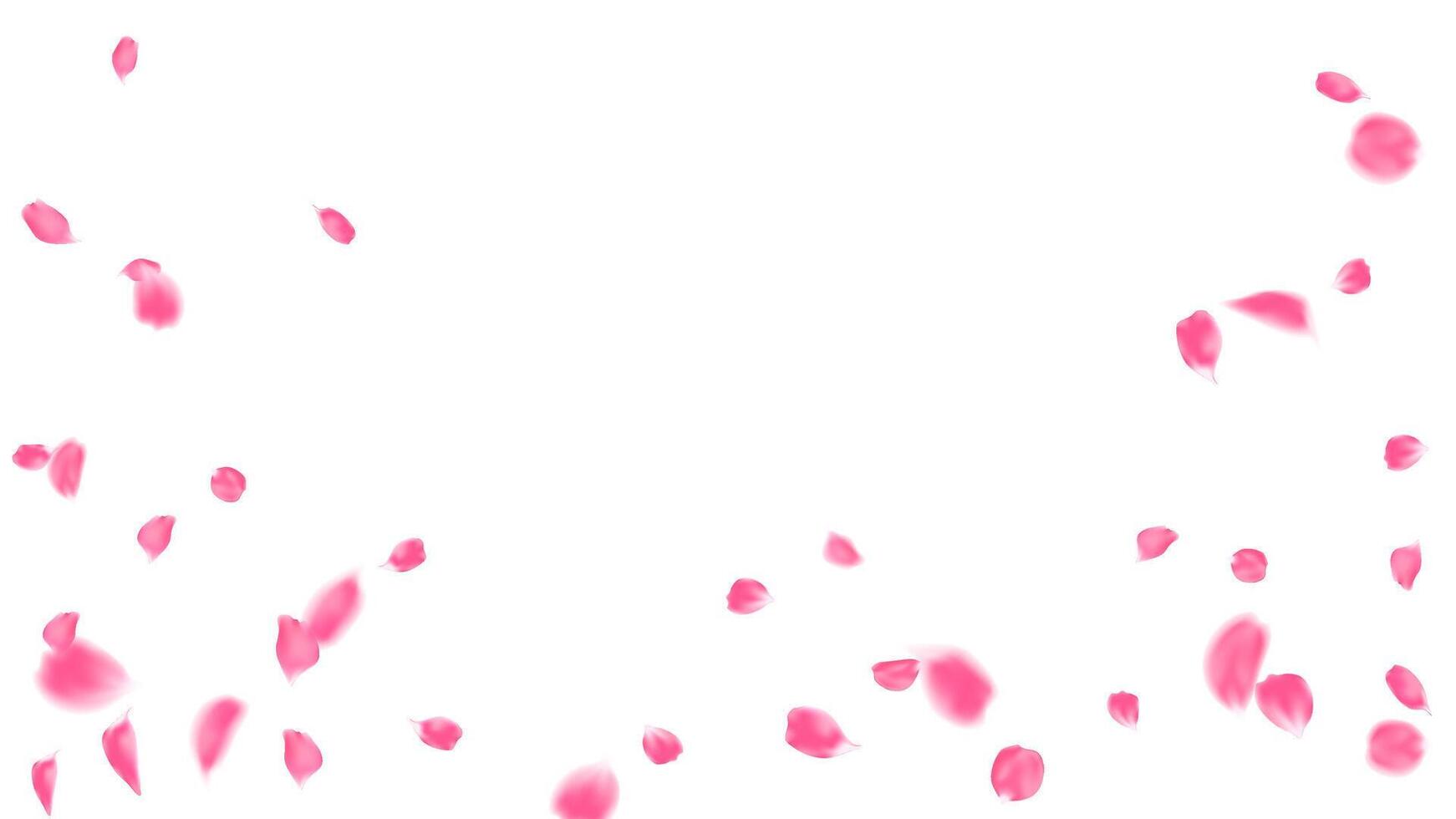 Realistic pink rose petals floating decoration festive graphic banner vector
