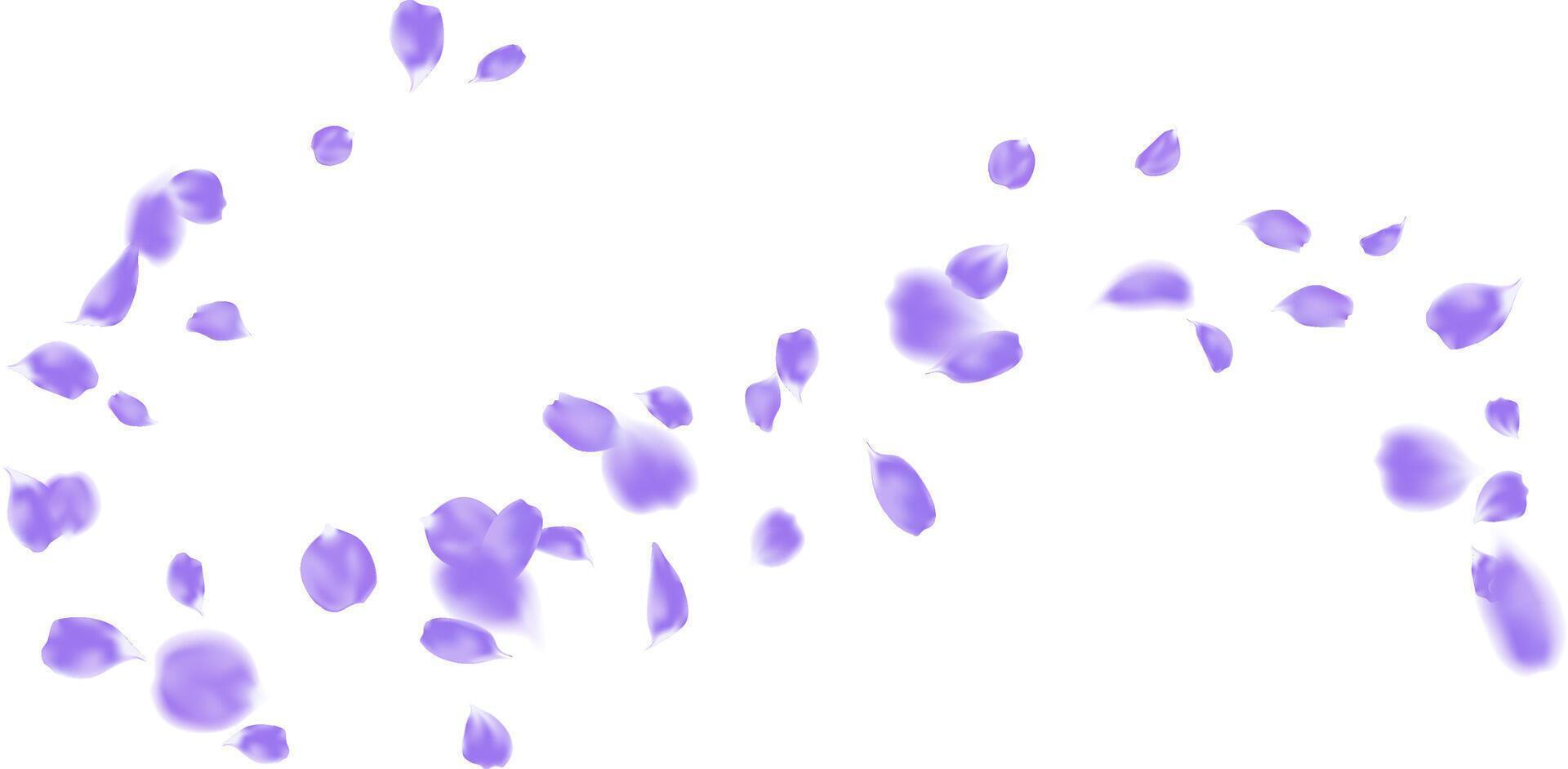 Purple rose petals gently float seasonal design. Flower petal flying in air vector