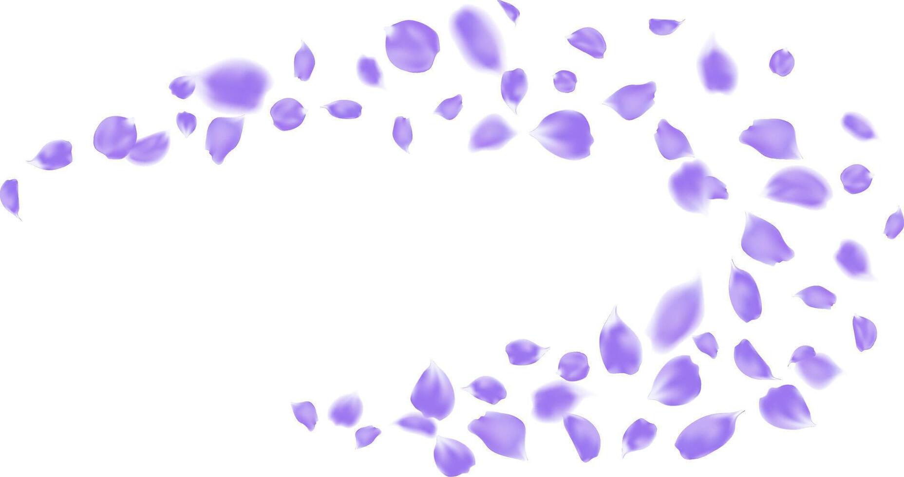 Elegant purple roses petal floating flying motion wind isolated element vector