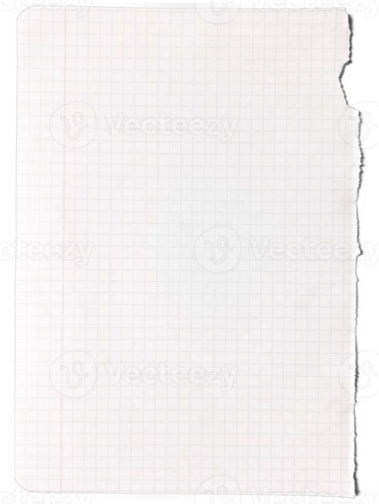 Torn Grid Paper png
