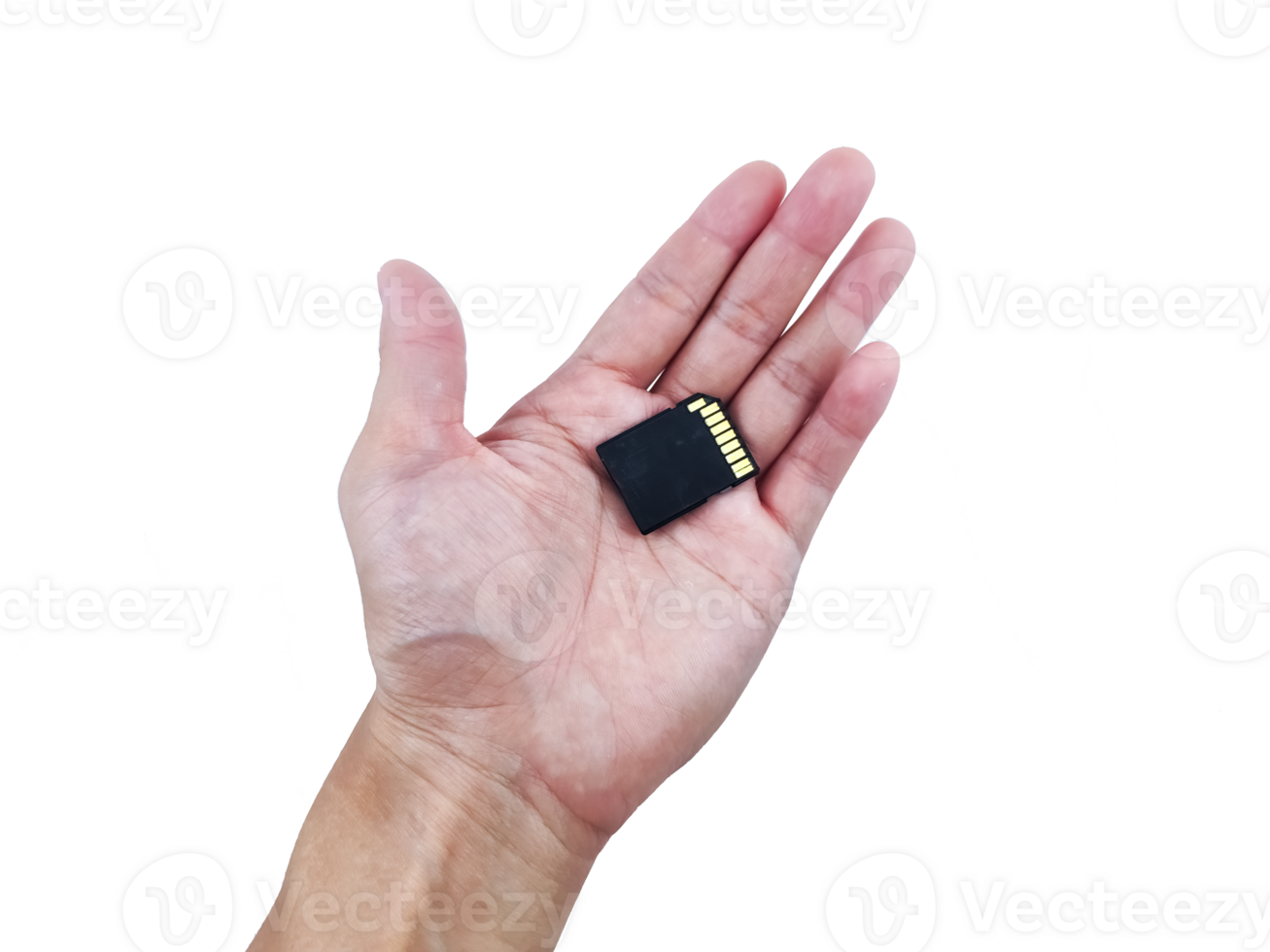 Detail Shot Memory Card in Hand Data Transfer Concept png