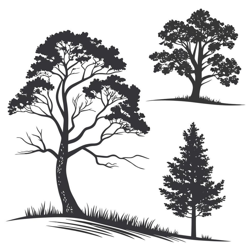 Tree silhouettes on a white background. vector