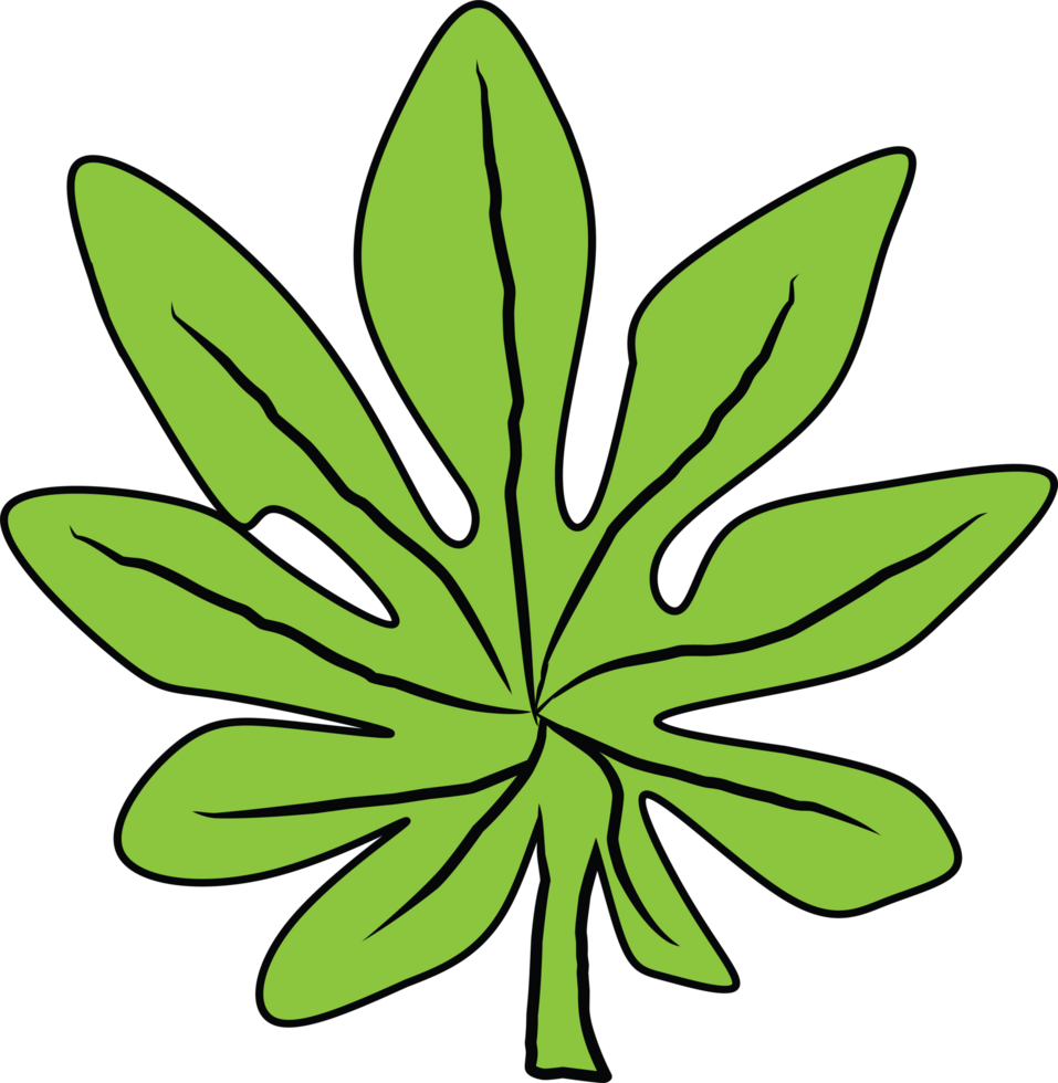 Cartoon green cannabis leaf illustration. Simple style. png