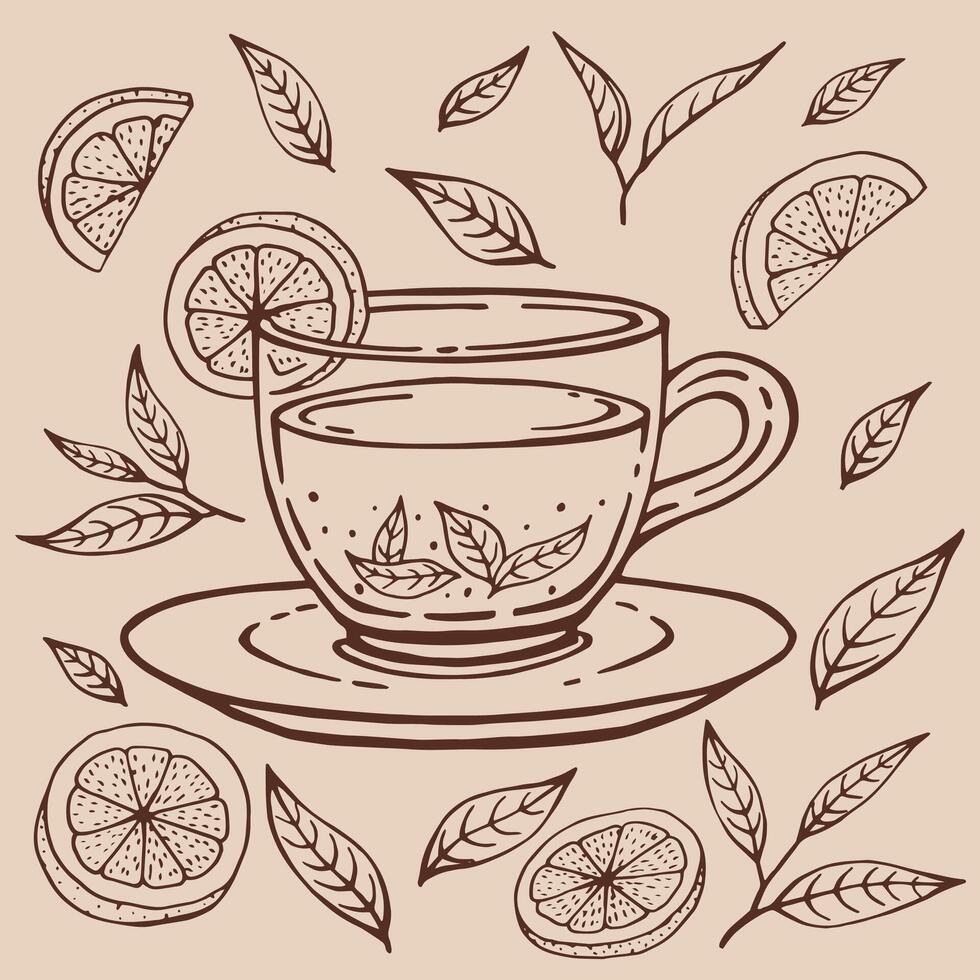Set with glass cup tea, lemon slices, tea leaves. Hand drawn illustration in outline style vector