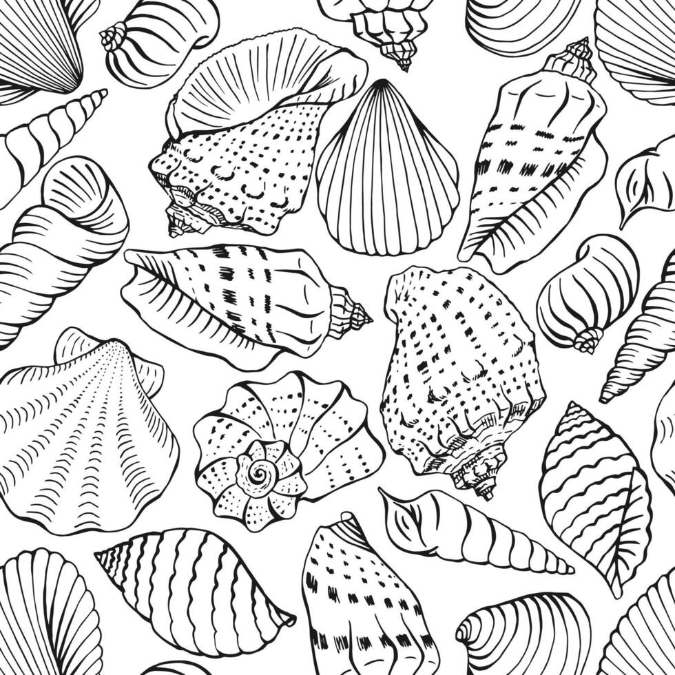 Seamless pattern with shells of different shapes. Hand drawn illustration vector
