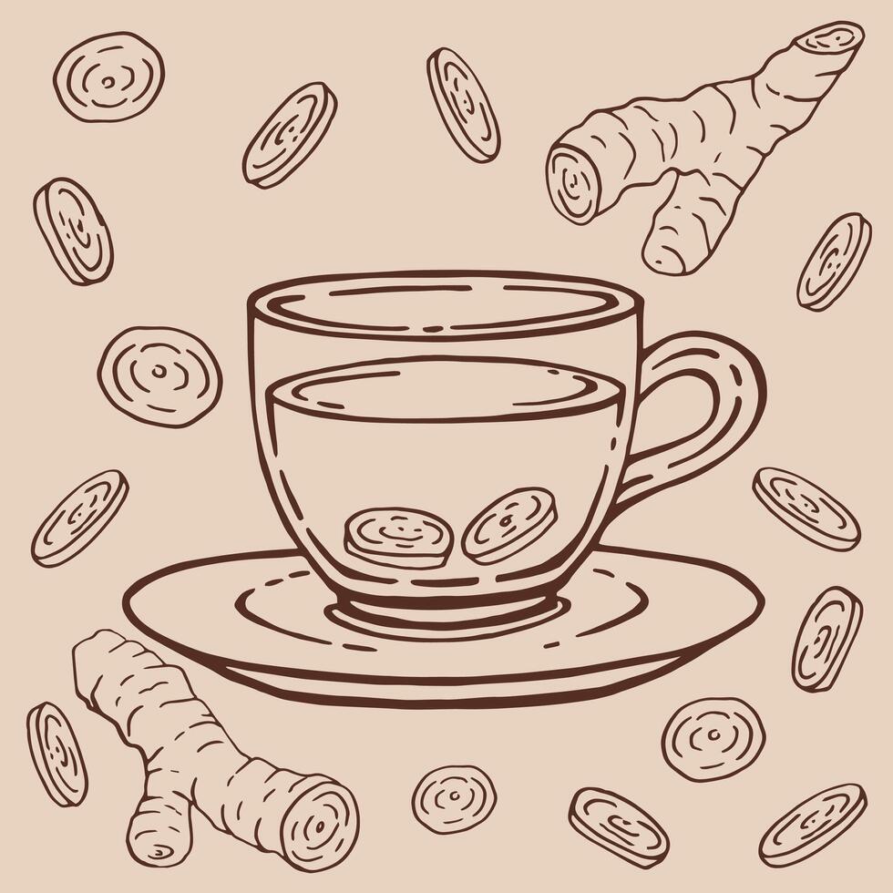 Set, glass cup tea, ginger. Hand drawn illustration in outline style. vector
