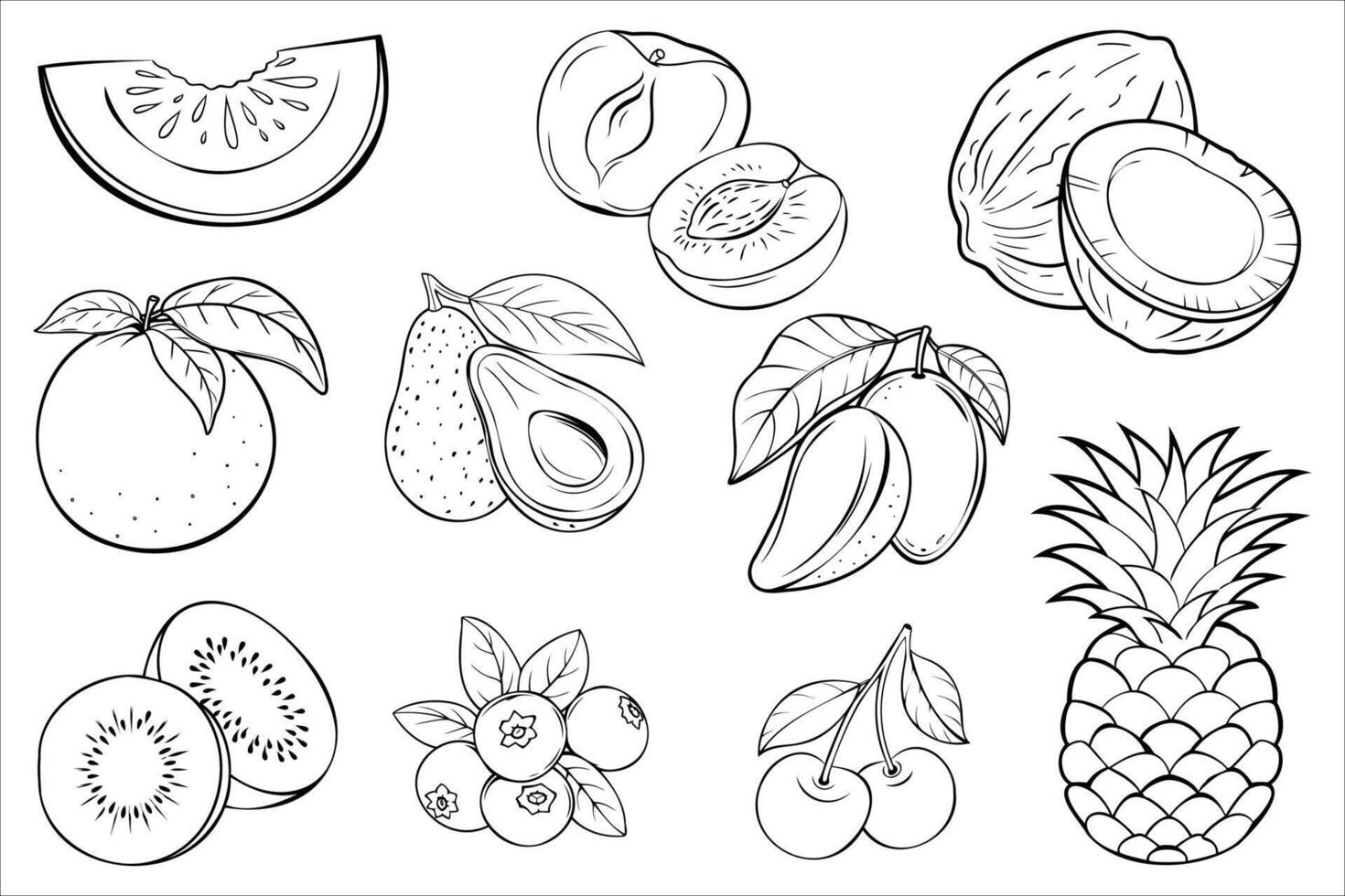 Collection of hand-drawn tropical and seasonal fruits in black and white outline style vector