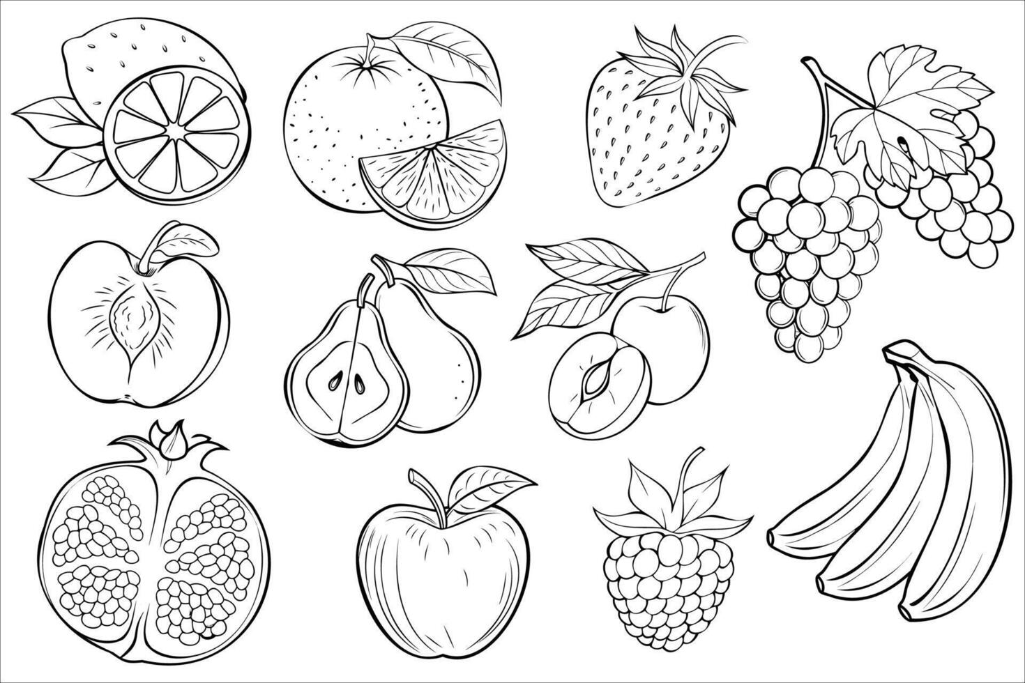 Set of black and white outlined fruits including berries, citrus and tropical varieties in hand-drawn style vector