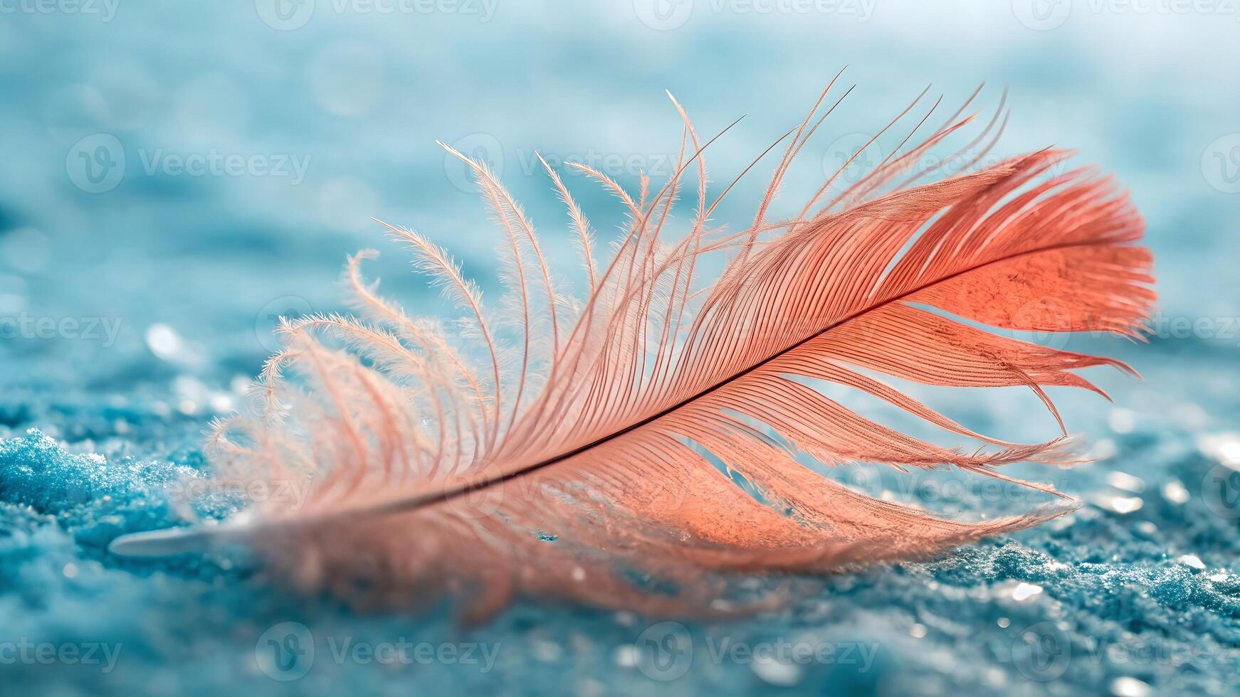 Coral Feather on Blue Glitter Abstract Background photo