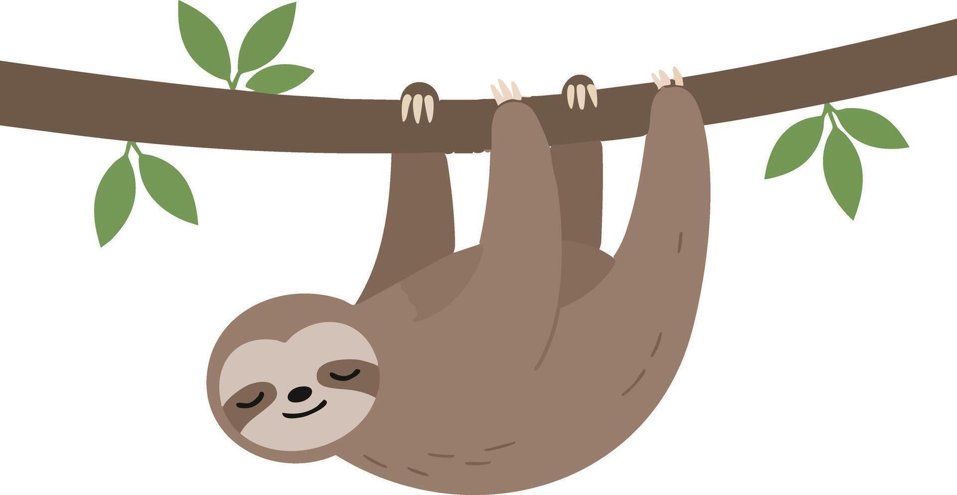 Sloth hanging on tree branch with green leaves cute animal illustration vector
