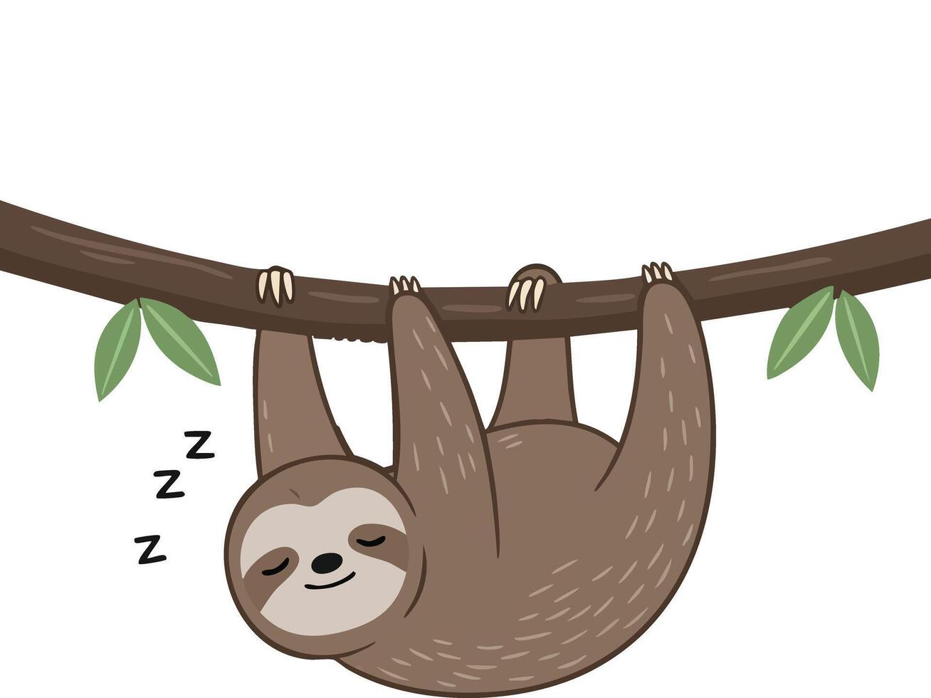 Sloth Hanging Sleeping on Tree Branch Cute Cartoon Animal Illustration vector