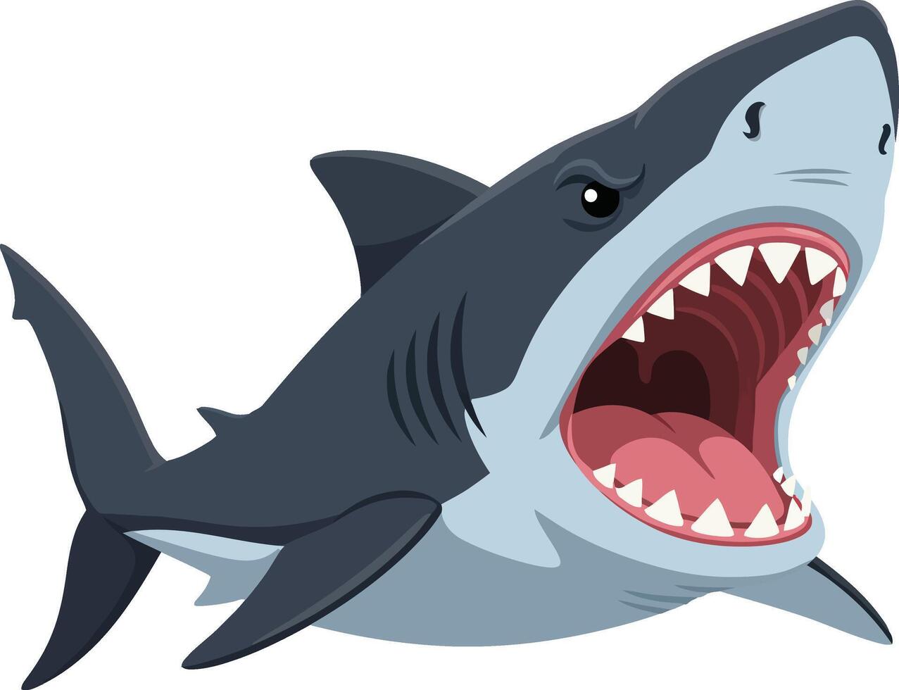 Great white shark aggressive open mouth underwater predator illustration for marine life design vector