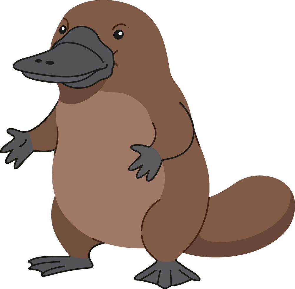 Platypus standing cartoon style animal illustration with brown and gray colors image vector