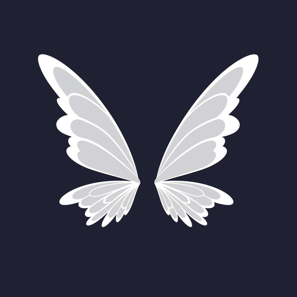 White and grey butterfly wings illustration on dark background with symmetrical design for creative projects vector