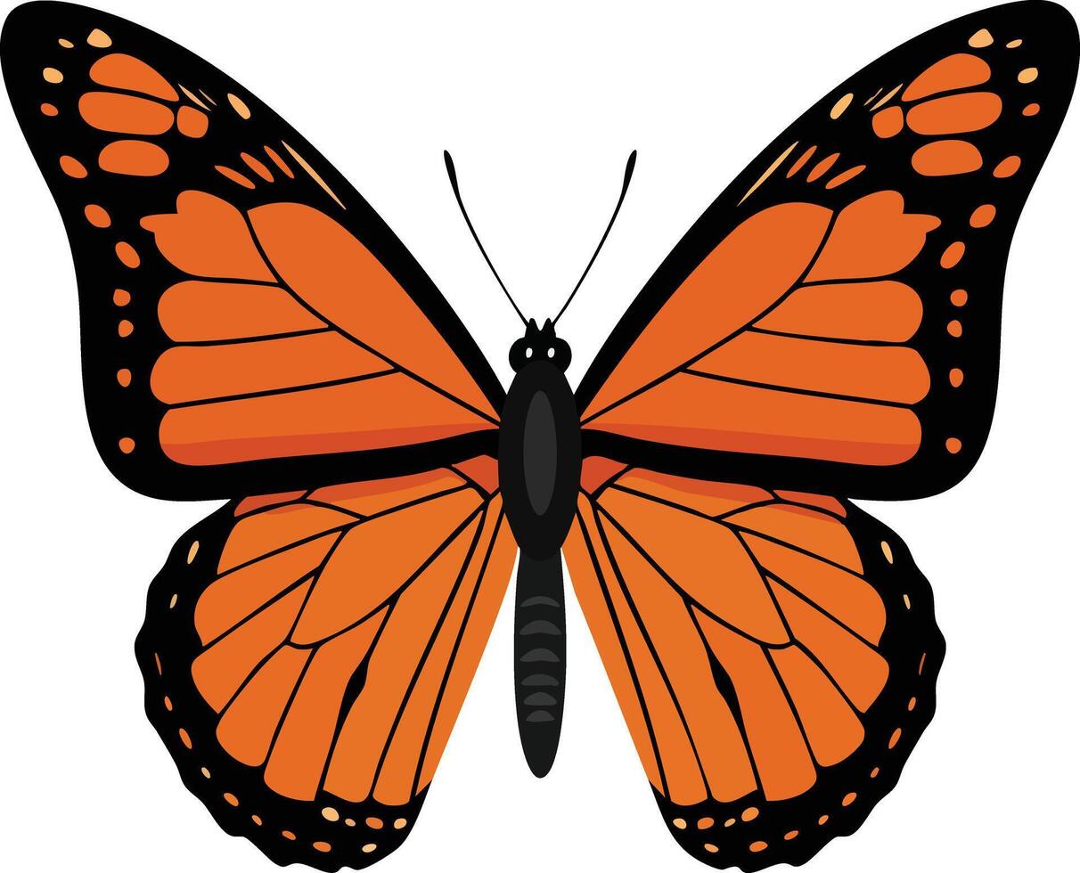 Monarch butterfly illustration with vibrant orange and black wings detailed insect pattern vector