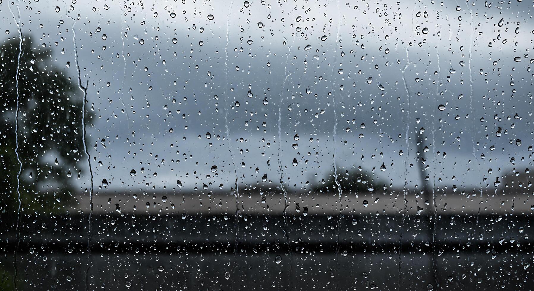 A view of a rainy window with a tree in the background photo