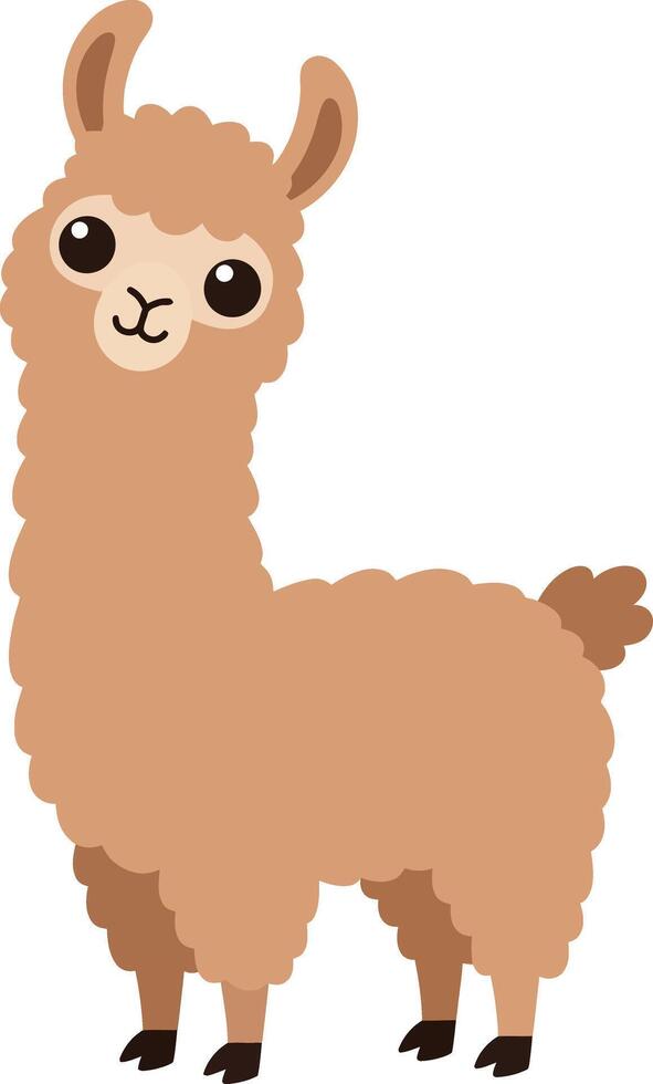 Cute brown alpaca standing with big eyes and fluffy fur cartoon illustration vector