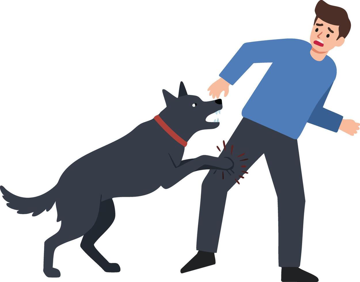 Aggressive black dog biting man pants in defensive attack illustration vector