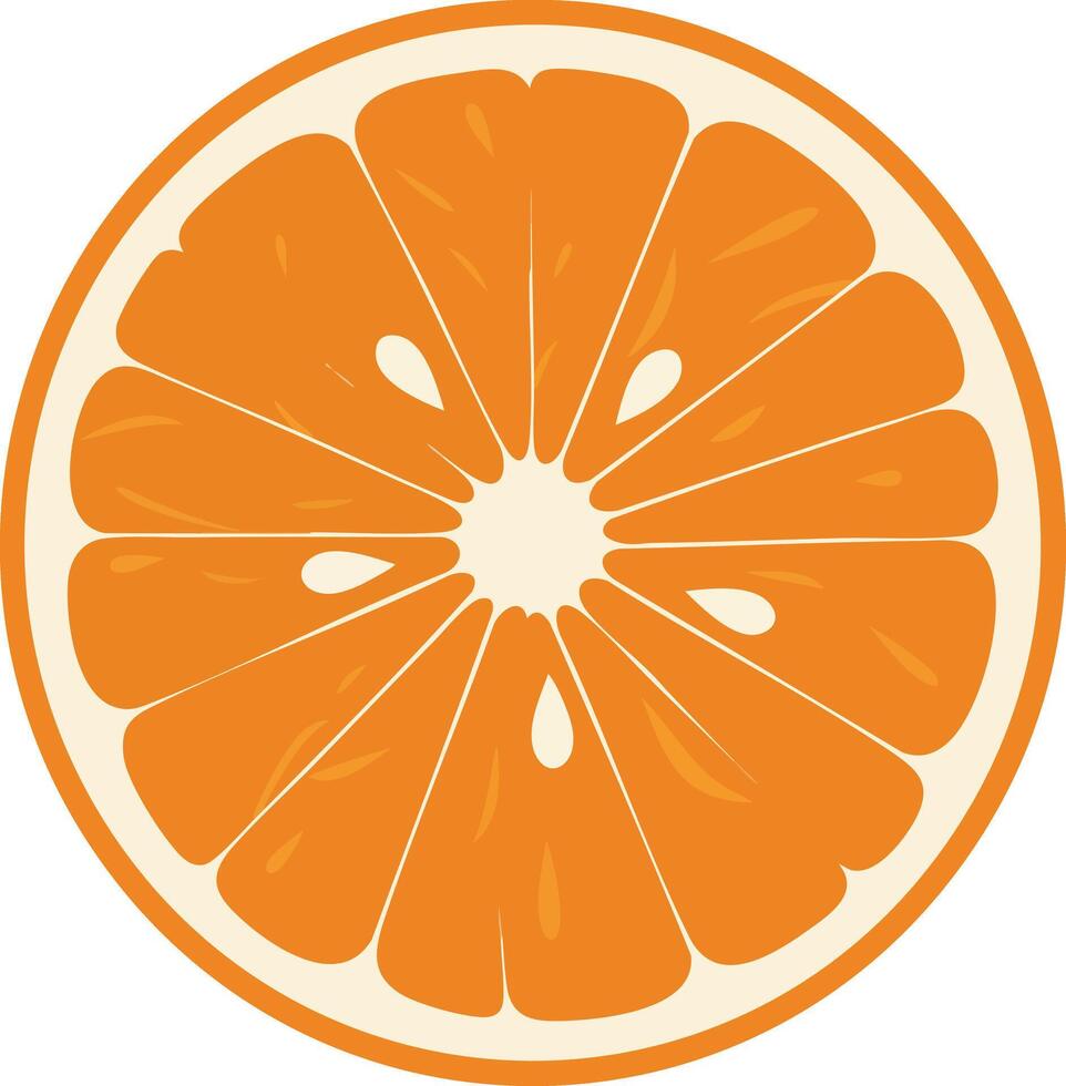 Orange fruit slice illustration with bright orange color and round shape for fresh citrus design elements vector