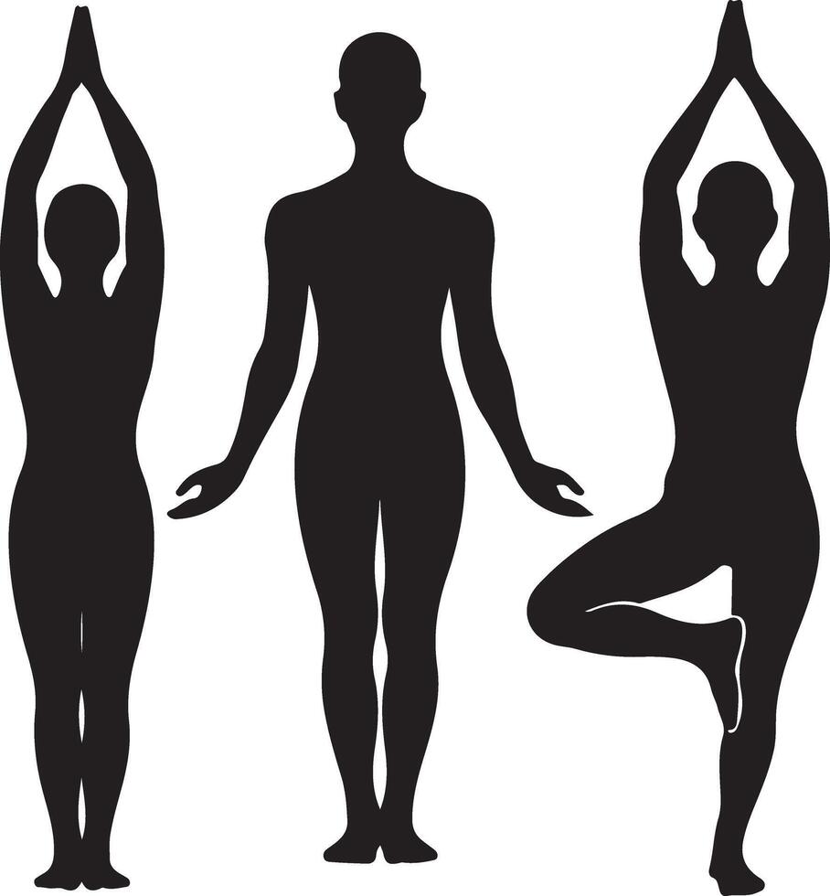 Three Female Yoga Silhouettes in Different Poses Mountain Pose Standing Pose and Tree Pose vector