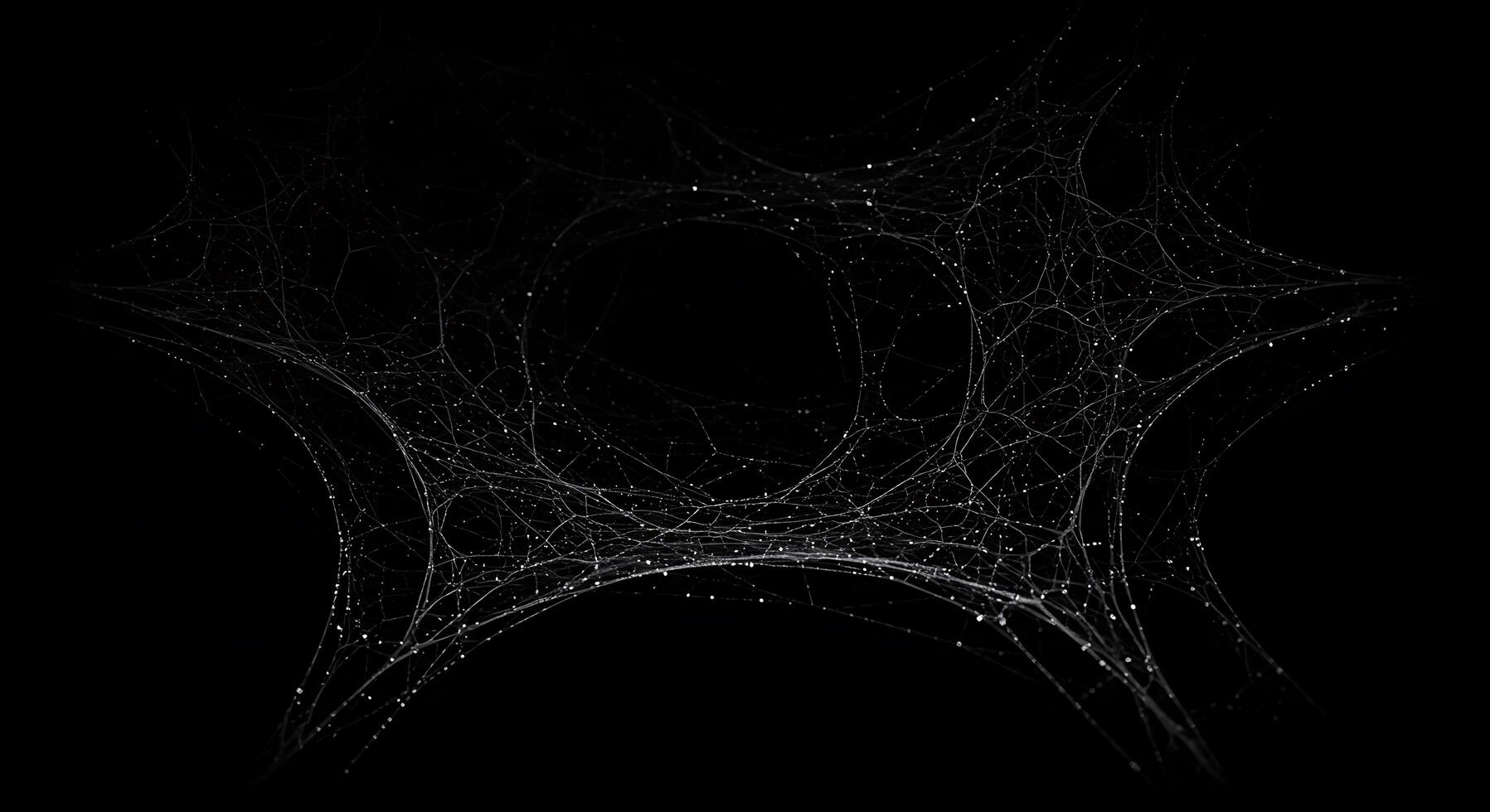 A spider web on a black background photo