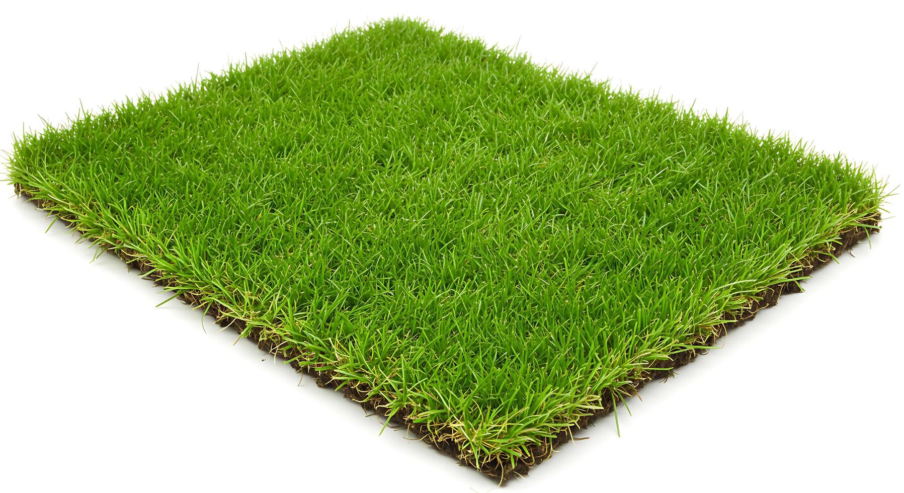 A square of green grass on a white background photo