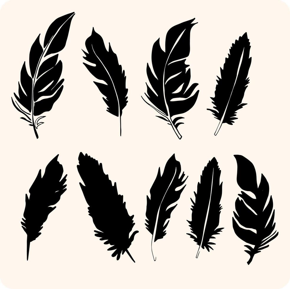 Feather Silhouette Collection with background cream vector