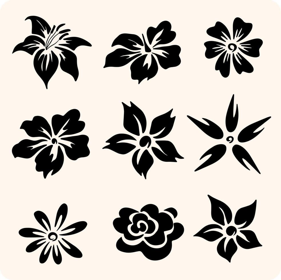 Black and White Flower Collection with background cream vector