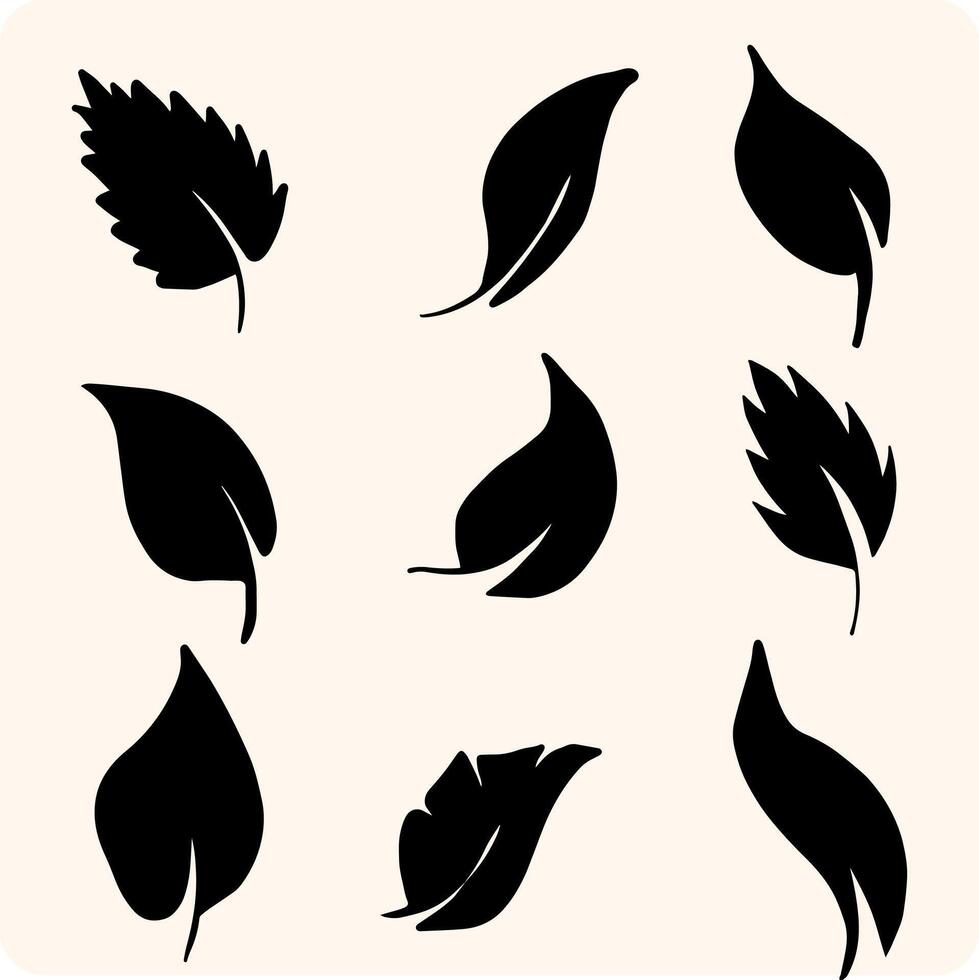 Botanical Leaf Set with background cream vector