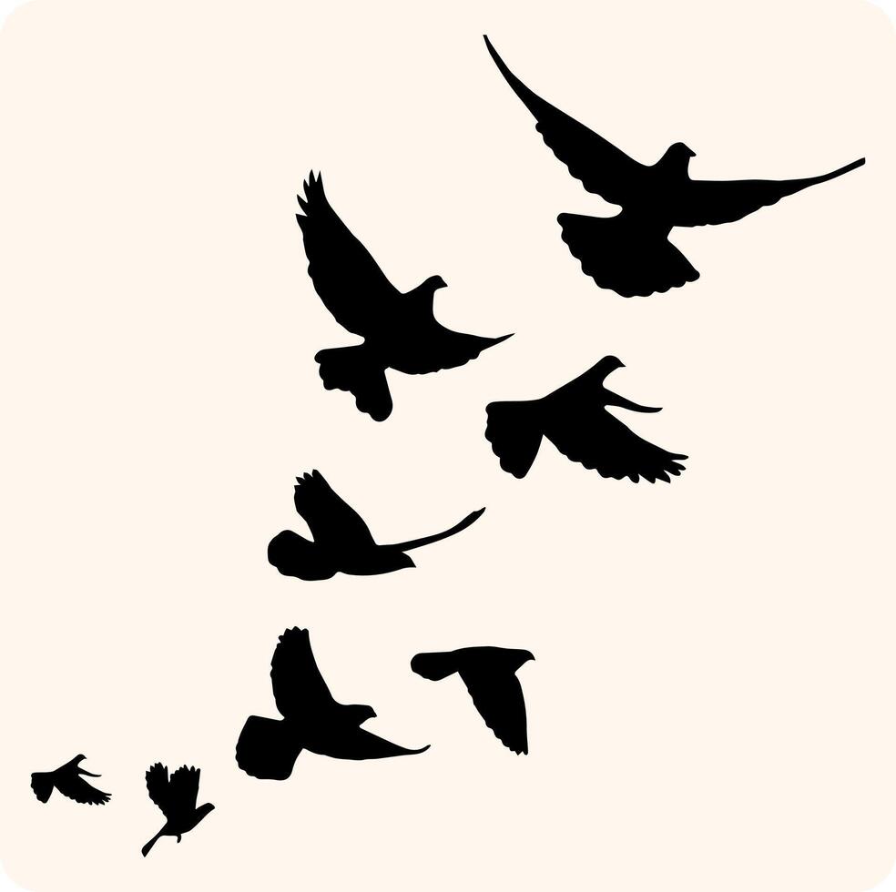 Flying Bird Silhouette Collection with background cream vector