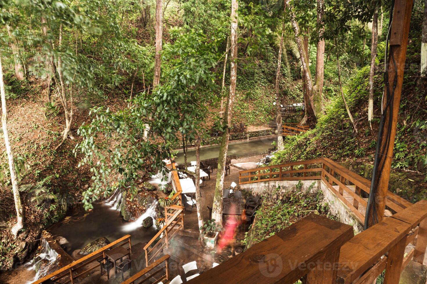 Serene forest pathway with flowing stream in central america photo