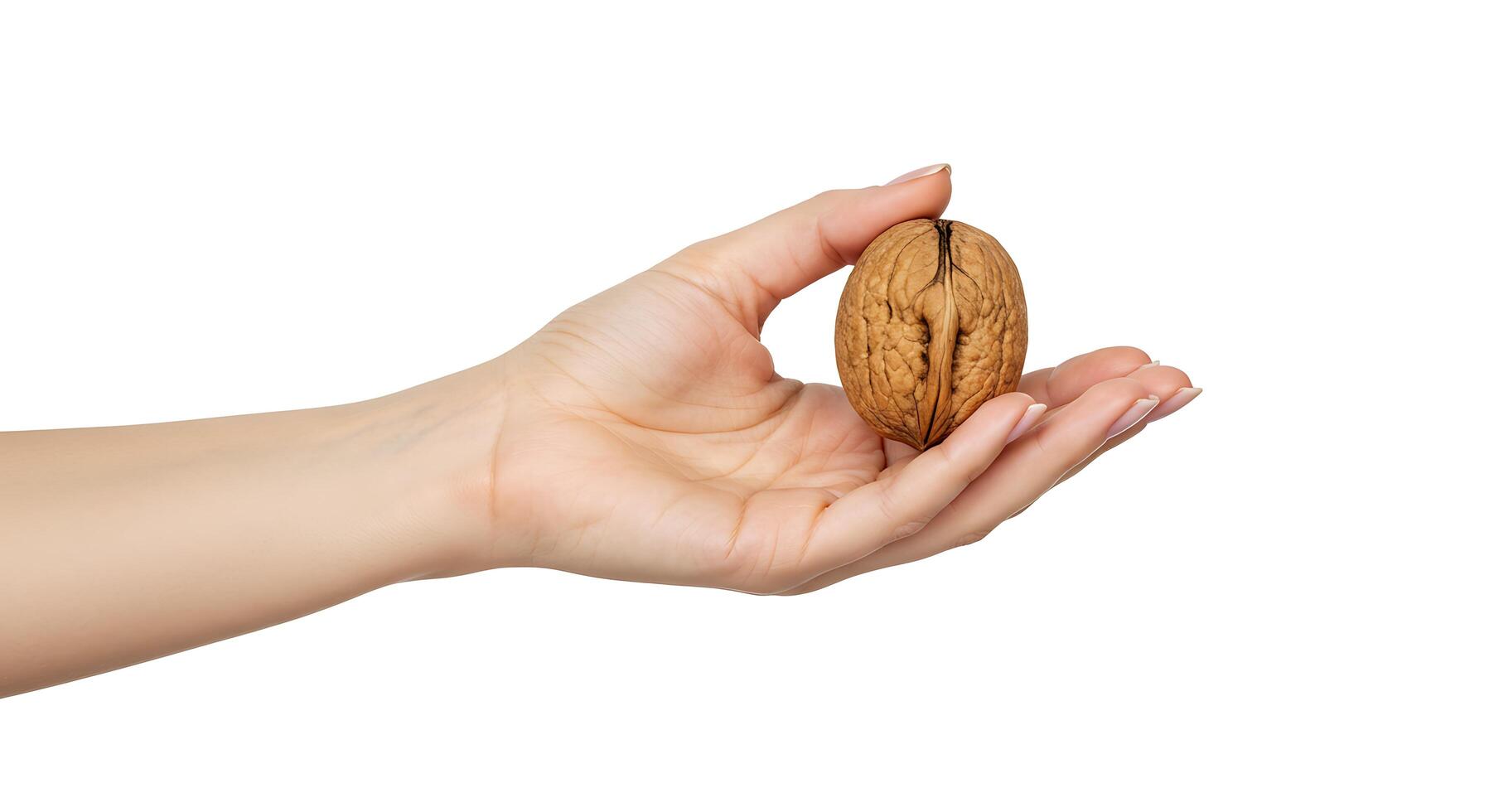 A person holding a walnut in their hand photo