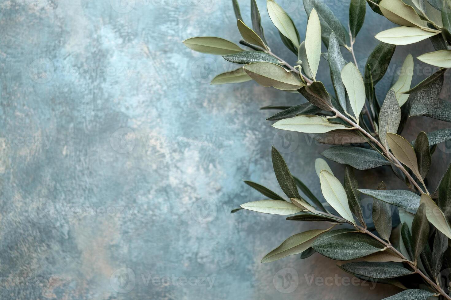 Olive branches resting on a textured blue background photo