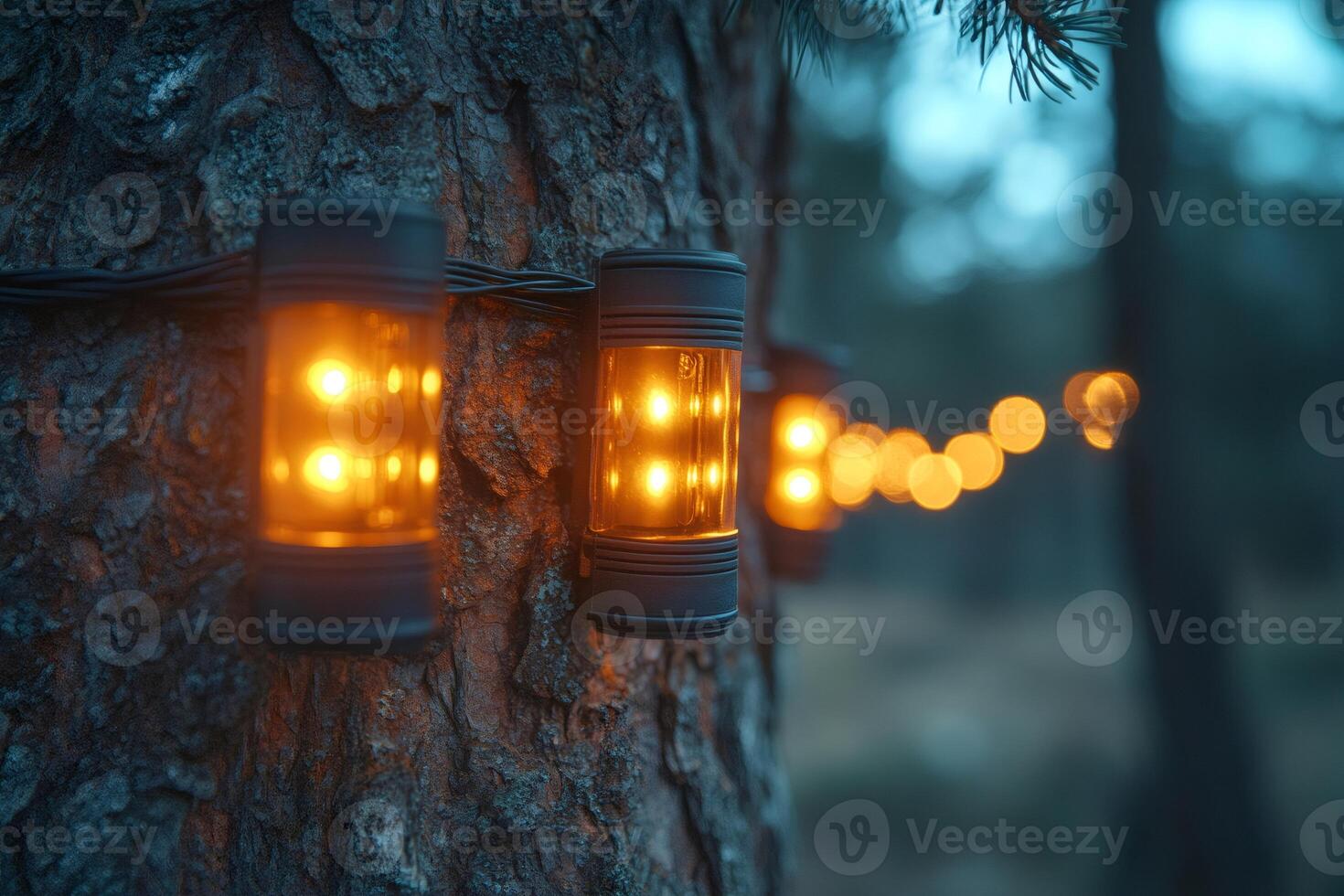 Glowing string lights hanging on a tree in a forest at dusk photo