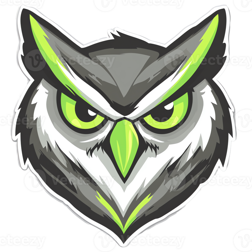 Fierce owl portrait on transparent background png