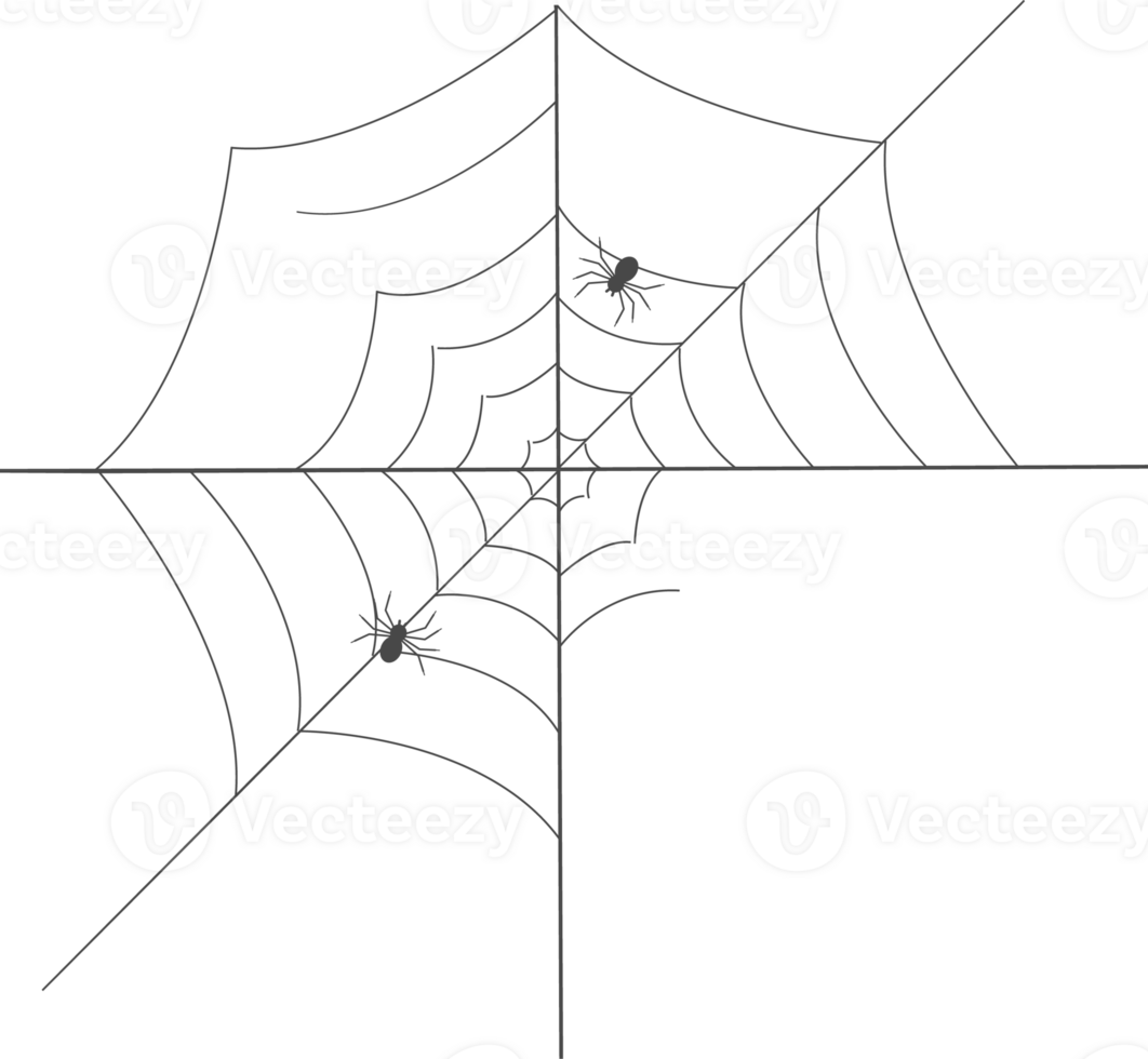 Simple spider with web illustration. png