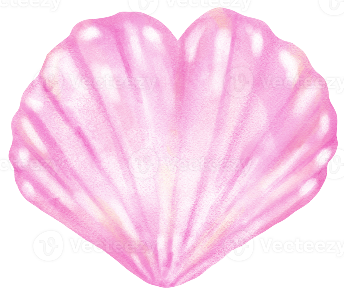 Pastel Pink Clam Sea Shell Heart shape Watercolor Seashell png
