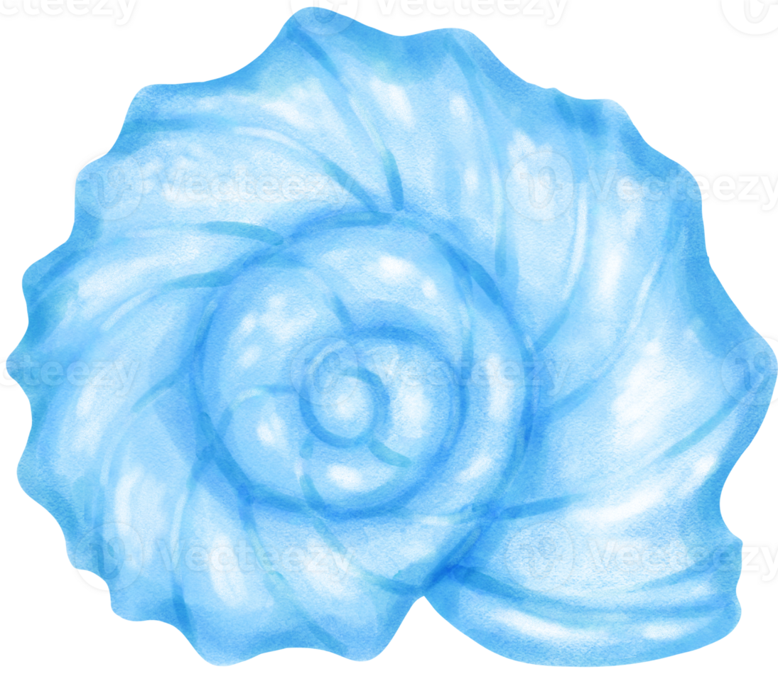 Pastel Blue Curl Conch Sea Shell Watercolor Snail Seashell png